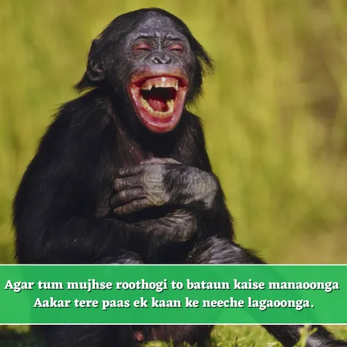 Girl Dosti Funny Shayari in English Girl Dosti Funny Shayari in English