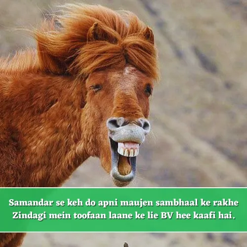 Short Funny Shayari in English Short Funny Shayari in English