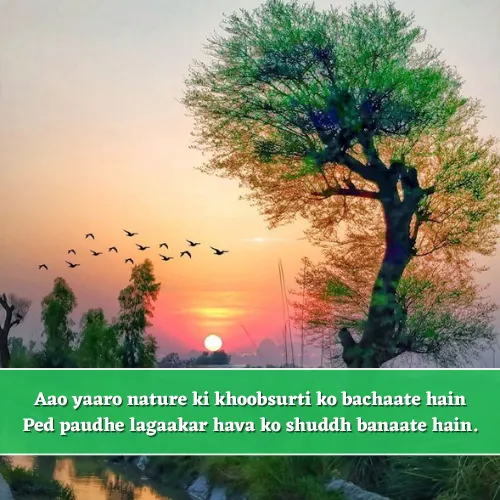 Beautiful Nature Shayari in English Beautiful Nature Shayari in English