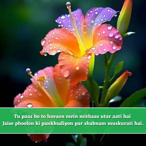 Love Nature Shayari in English Love Nature Shayari in English